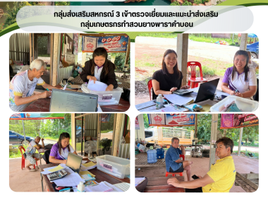 กลุ่มส่งเสริมสหกรณ์ 3 เข้าตรวจเยี่ยมและแนะนำ ส่งเสริม ... พารามิเตอร์รูปภาพ 7